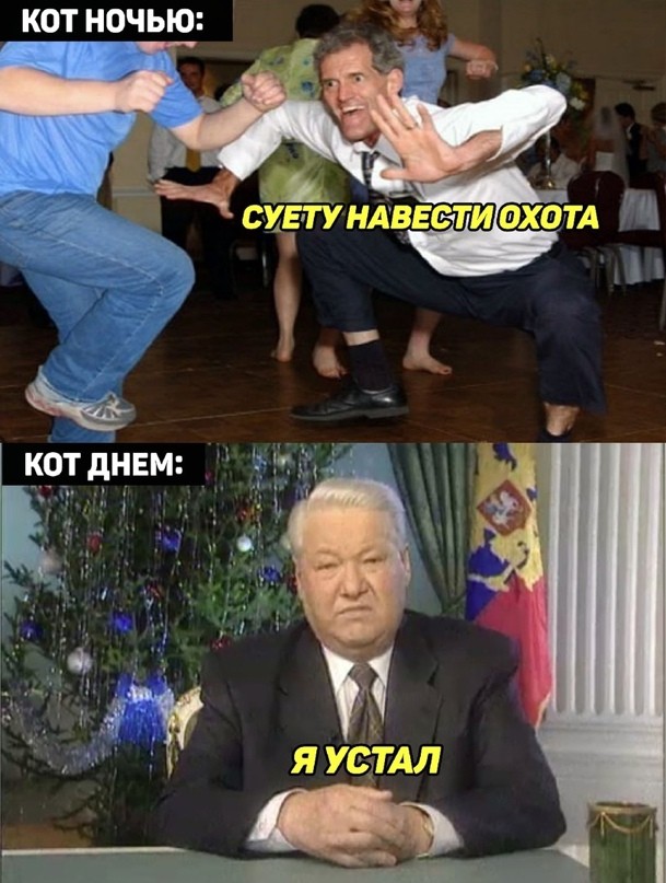 Весёлый полтишок 14.02