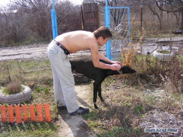 Маленькая девочка не дала в обиду своего кота