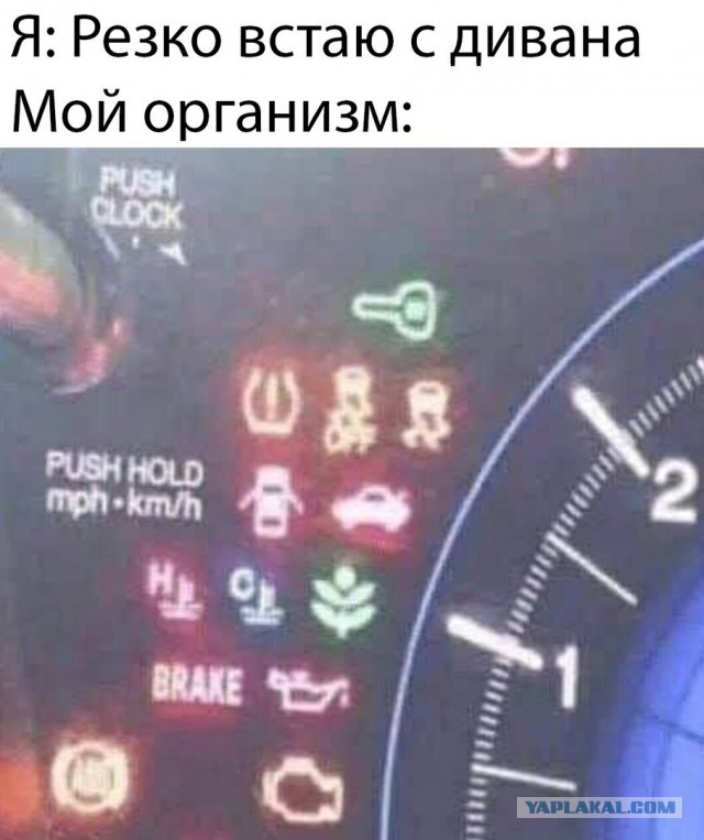 Юмор и прикольные картинки