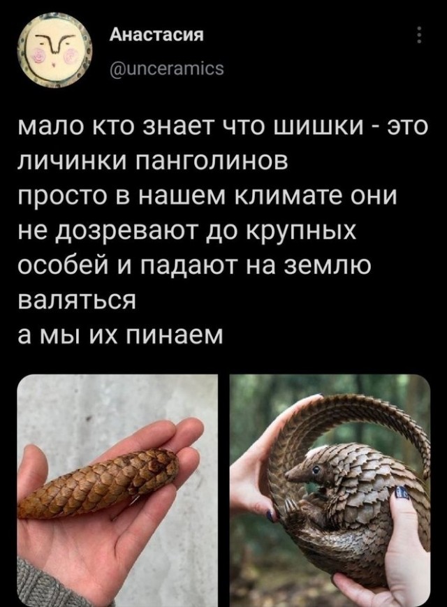 Картинки и мемы для настроения 020
