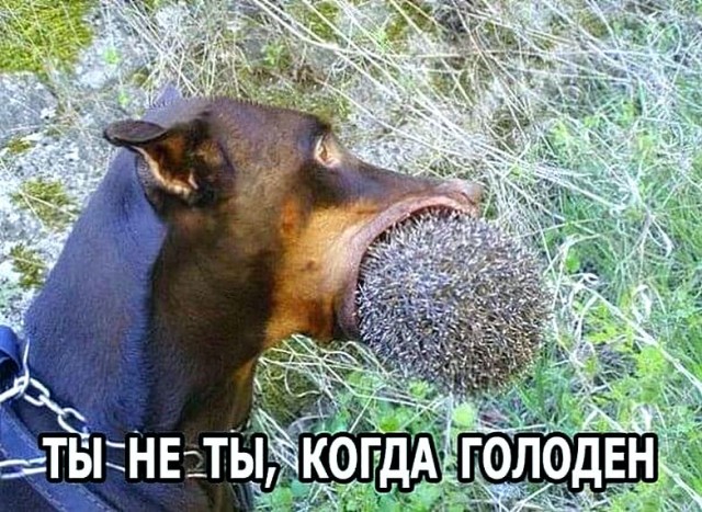 Воскресные картинки