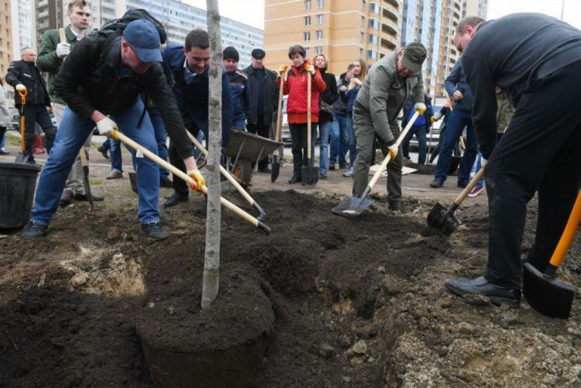 Легендарное Мурино - каменные джунгли под Питером. К чему приводит непомерная жадность застройщиков