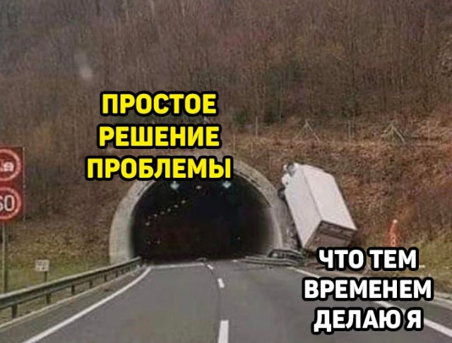 Весёлый полтишок 15.08