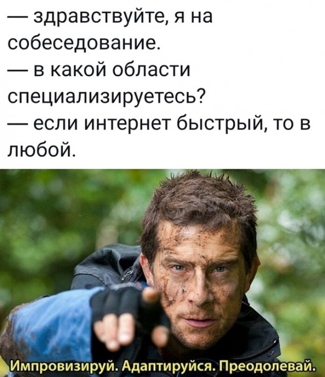 Весёлый полтишок 31.08