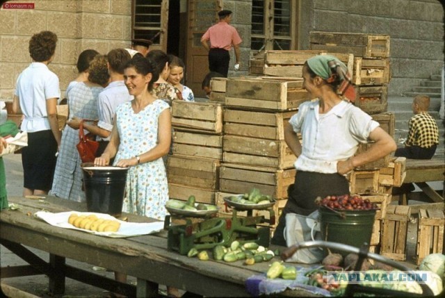 1990 год. Урожай Подмосковья не принимают столичные магазины