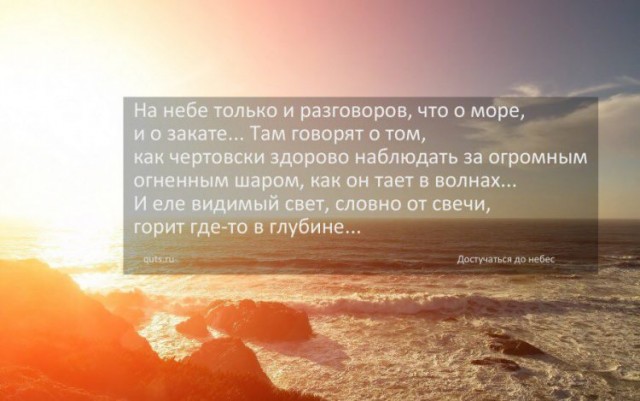 Собаки Куковых Островов