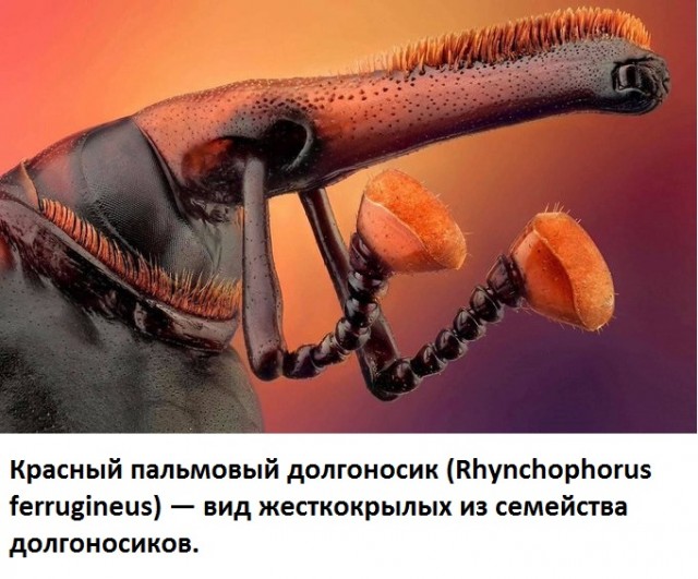 Не тот счастлив у кого много добра