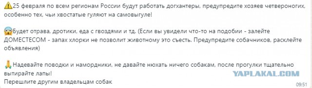 Владельцев собак предупредили о штрафах до 200 тысяч рублей