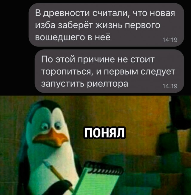 16617908.jpg