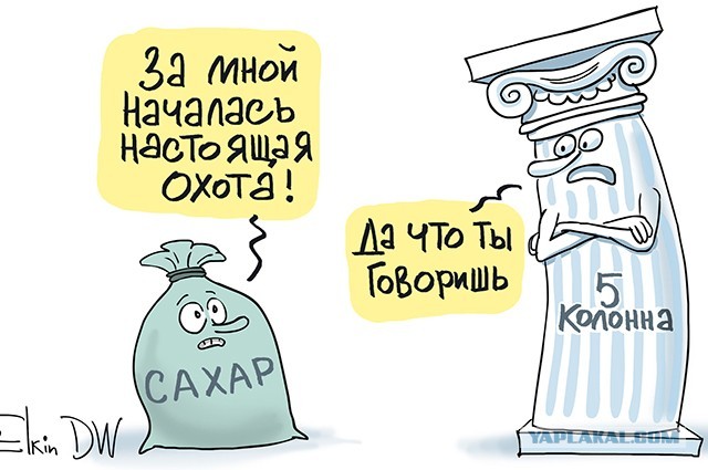 Сергей Елкин покинул Россию
