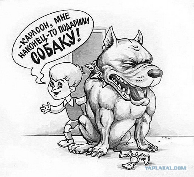 50 оттенков серого. Vol 11. Или самосвал баянов