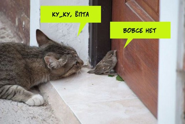 Так себе картинки 02.07.22