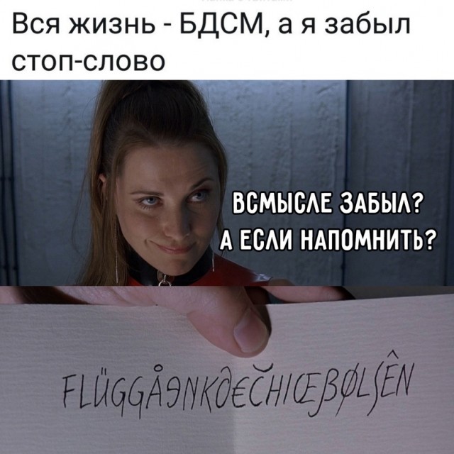 Весёлый полтишок 08.08.22
