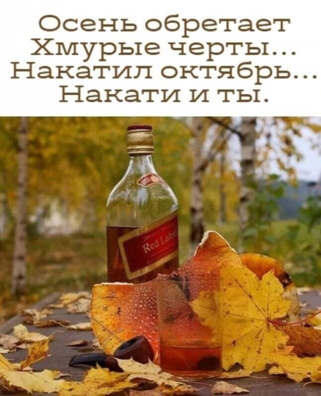 Картинки и мемы для настроения - 107