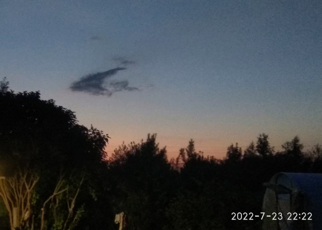 Лесной пейзаж
