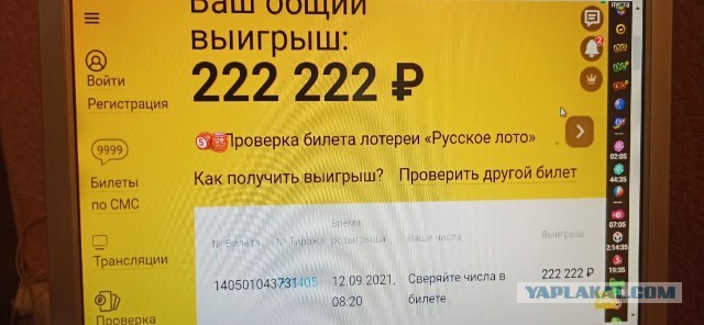 Опрос: кто выигрывал в лотерею?