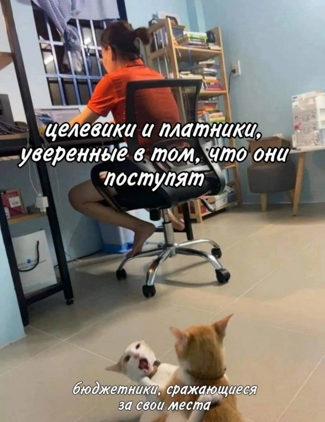 Весёлый полтишок 18.11.22