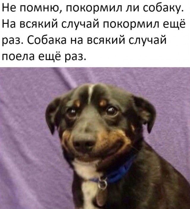 Когда решила наесться на всю зиму