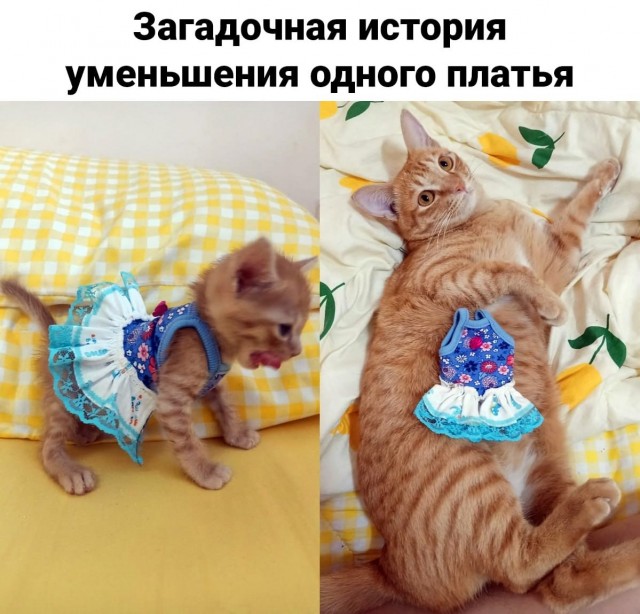 Картинки про всякое