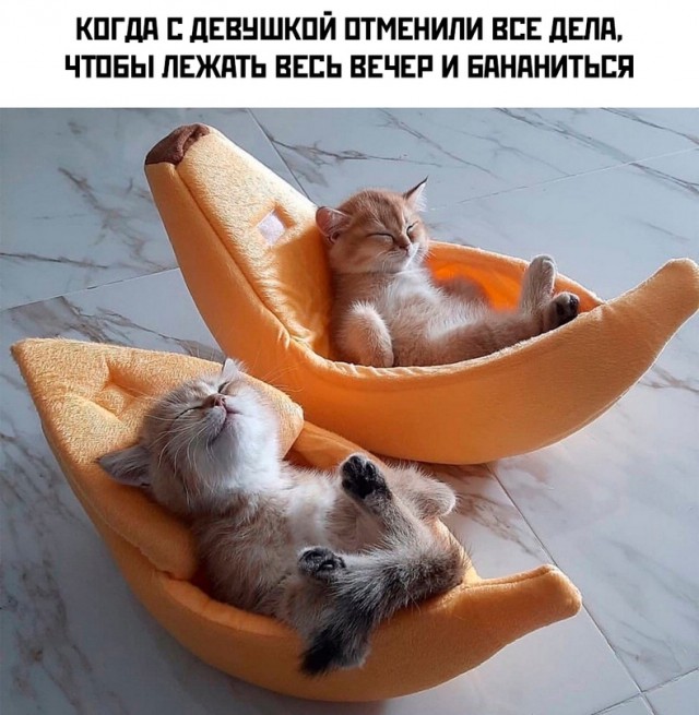 Немного картинок для настроения - 153