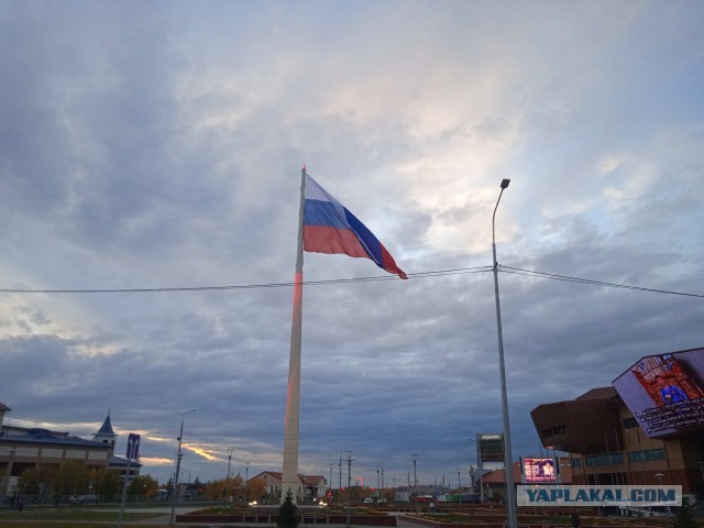 Полярные выходные