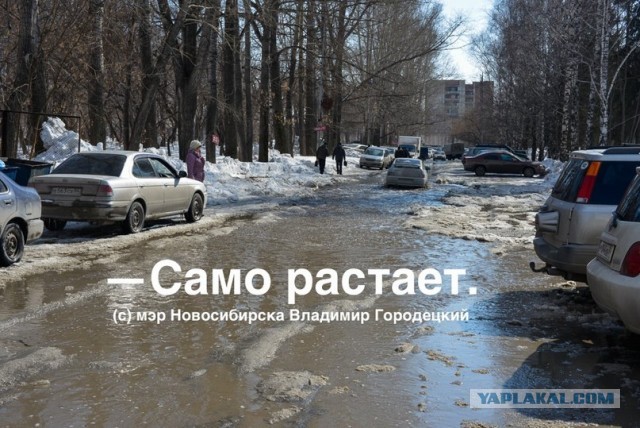 Куда увозят снег с улиц?