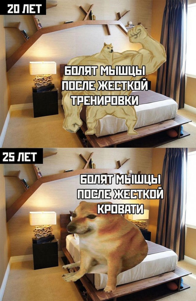 Картинки весёлые, вроде
