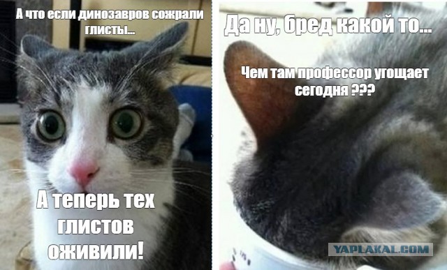 Ученые оживили пролежавших 46 тыс. лет в вечной мерзлоте Сибири червей