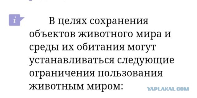 Власти установили лимит на добычу ежей и мышей в Свердловской области