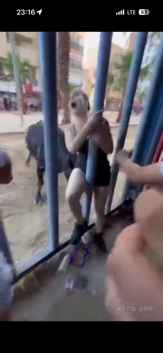 Чутка не успела