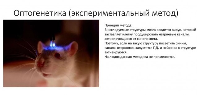 Химия и жизнь