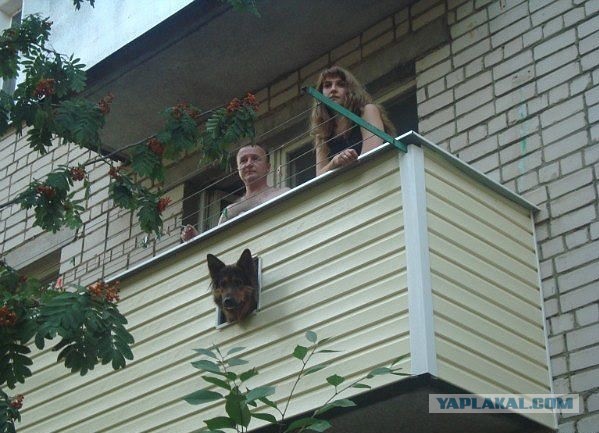 Амбразура для часового