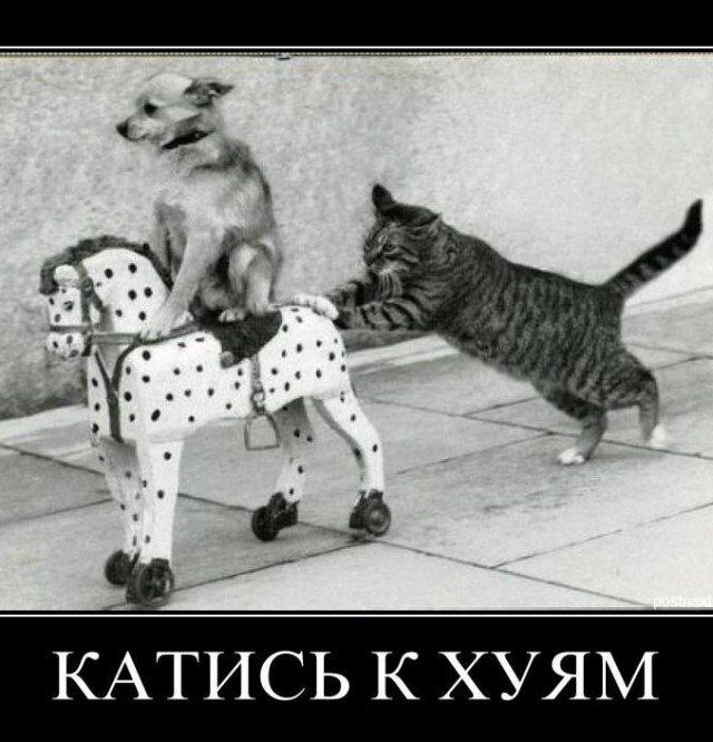 Женщина - мечта