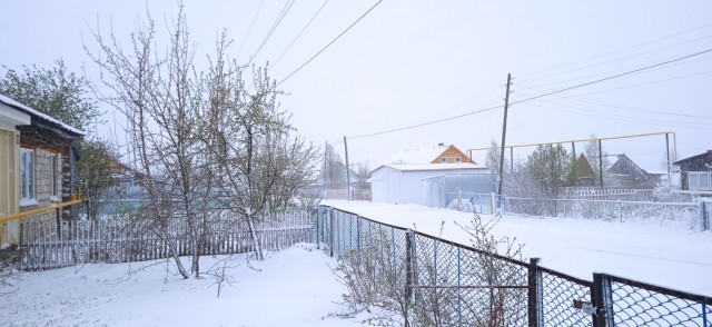Это май баловник, это май чародей...