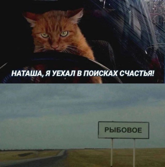 Завалялось тут случайно немного забавных картинок