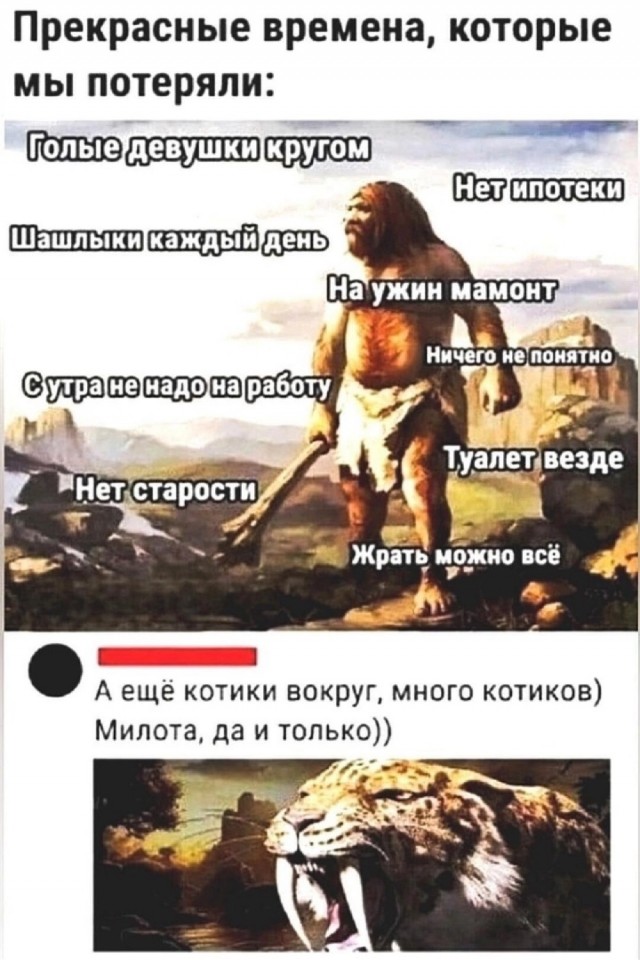 Завалялось тут случайно немного забавных картинок