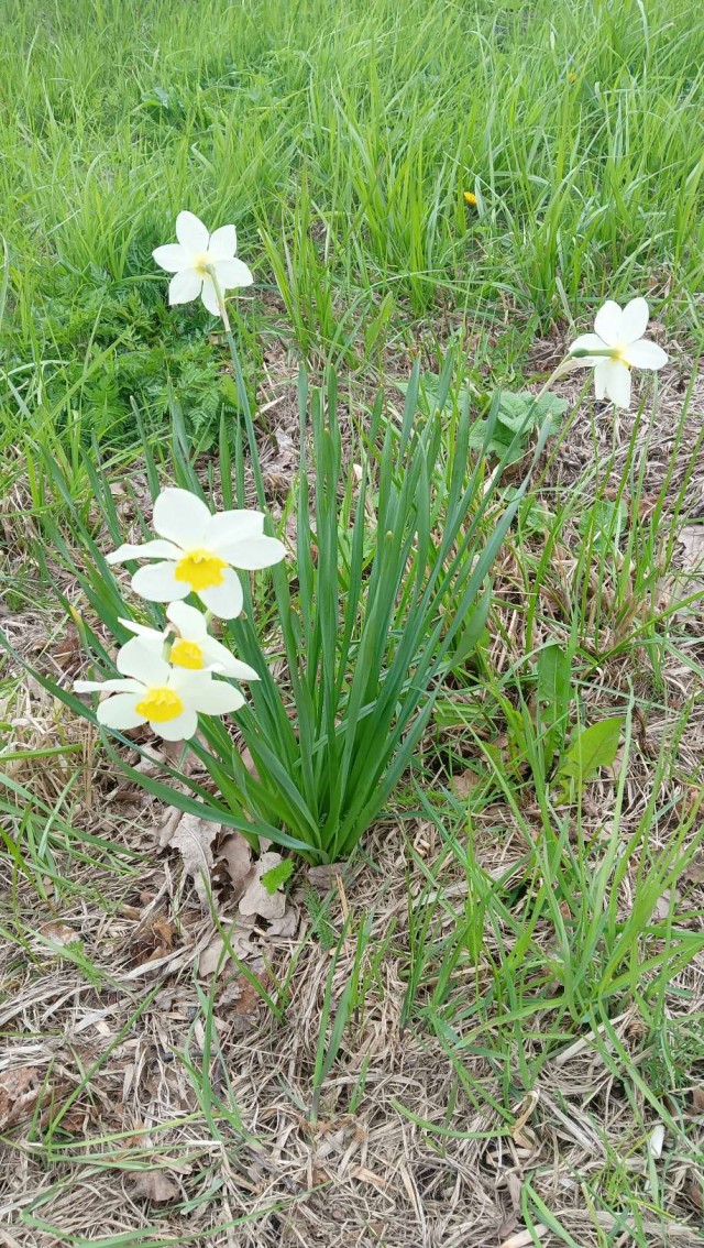 Литболталка