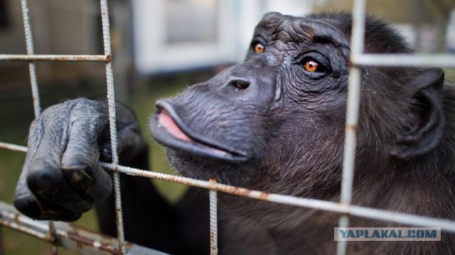 Просто пробка перед Ростовом
