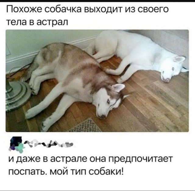 Юмор для тех, кто уже повзрослел и понял, что «выходные» — это просто два дня на уборку