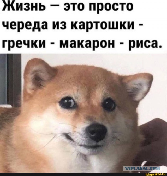 Веселые картинки в пятницу (07.11)