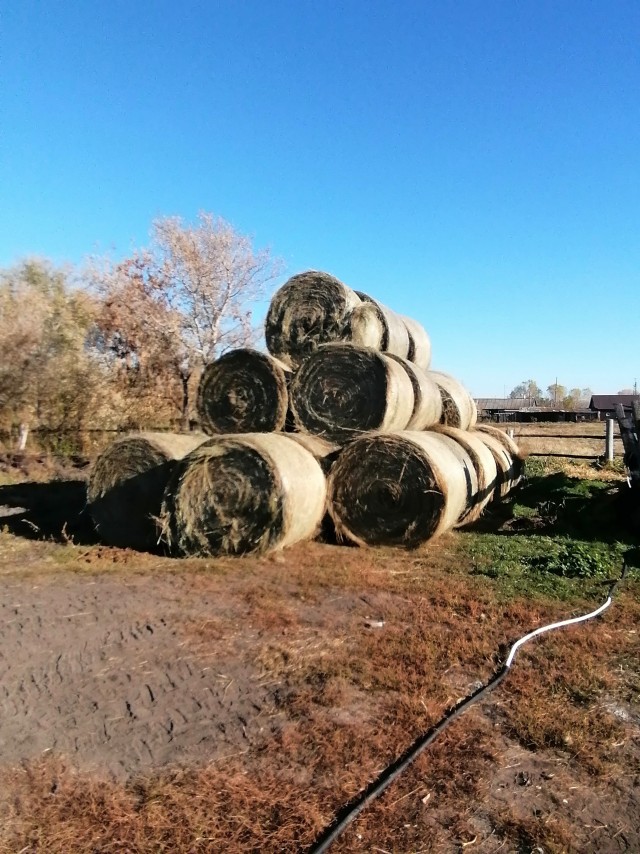 Утро начинается...