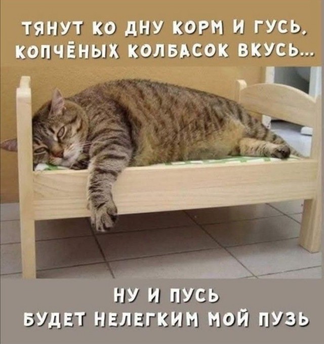 Прикольные и просто красивые картинки 18.11.2025