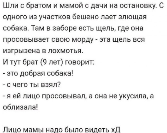 Так себе картинки 07.12.25