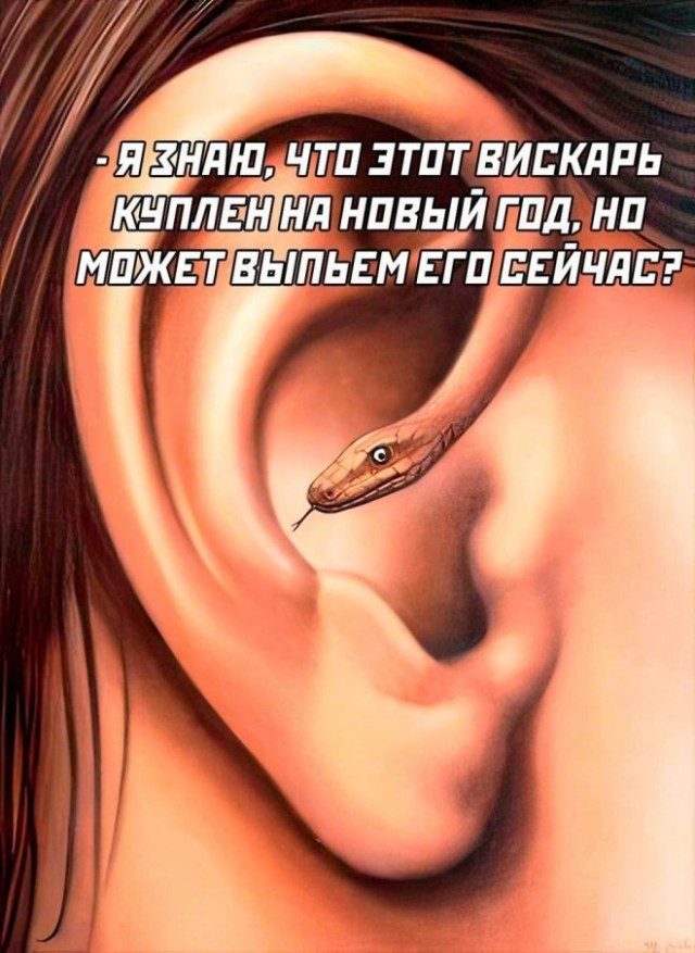 Картиночки, баянчики 26 декабря