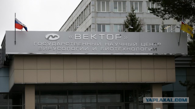 ФСБ задержала заведующего лабораторией научного центра «Вектор»