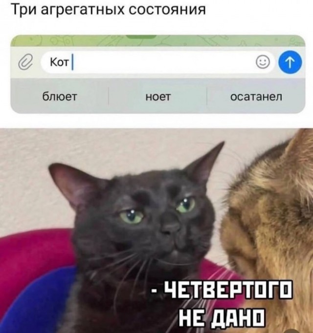 Веселые картинки в понедельник (25.05)