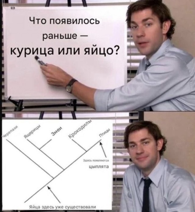 Веселые картинки в пятницу (29.05)