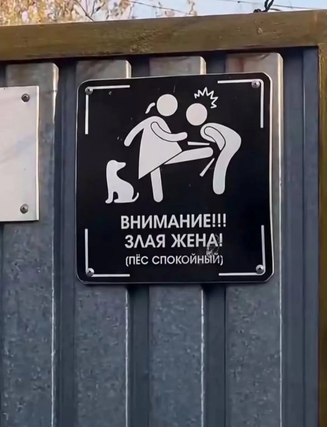 Веселые картинки в понедельник (08.06)