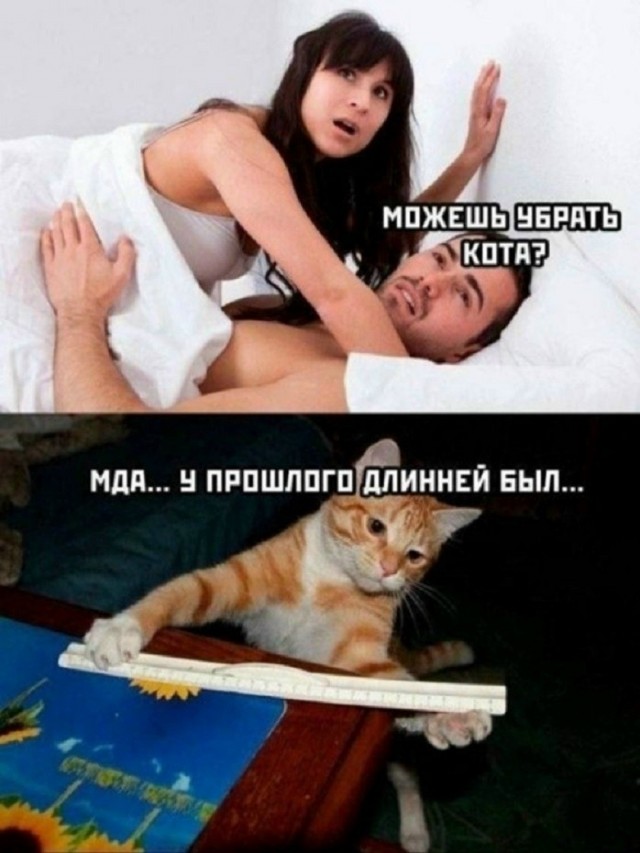 Так себе картинки 17.06.26