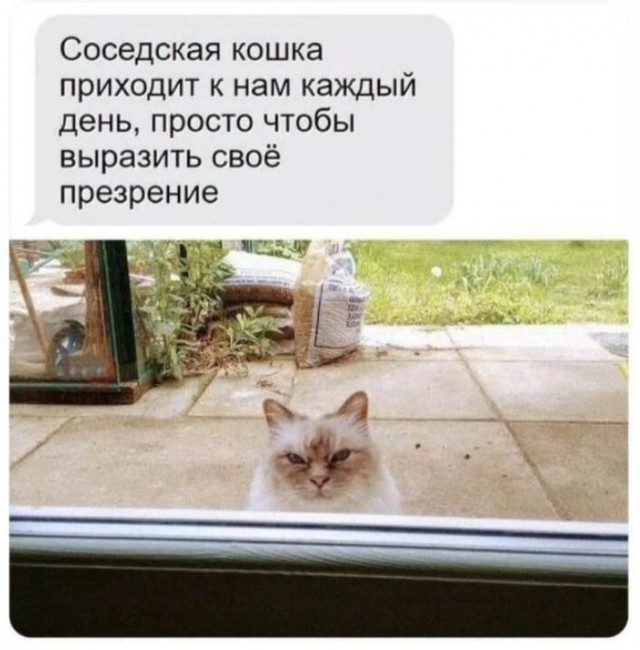 Картинки для деградации 240 (разной степени свежести)
